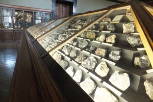 A cabinet of minerals at the Natural History Museum