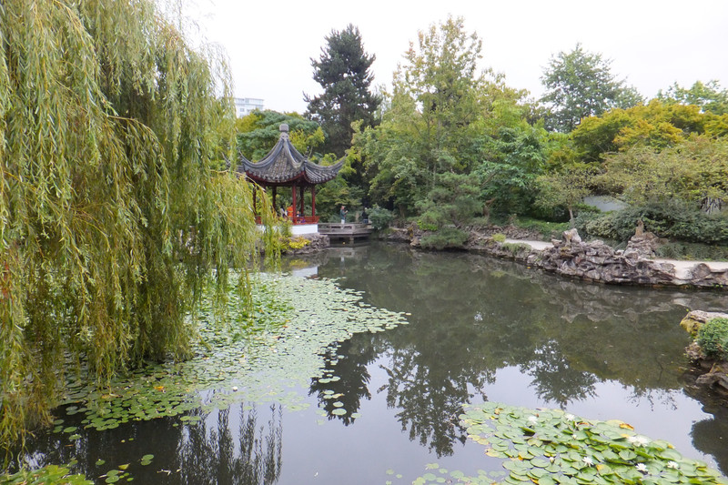 The beautiful lake in the Chinese Garden