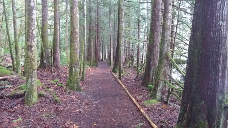 The path alongside Inland Lake