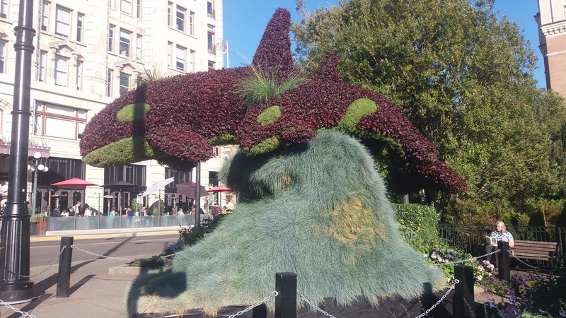 A floral whale in Victoria