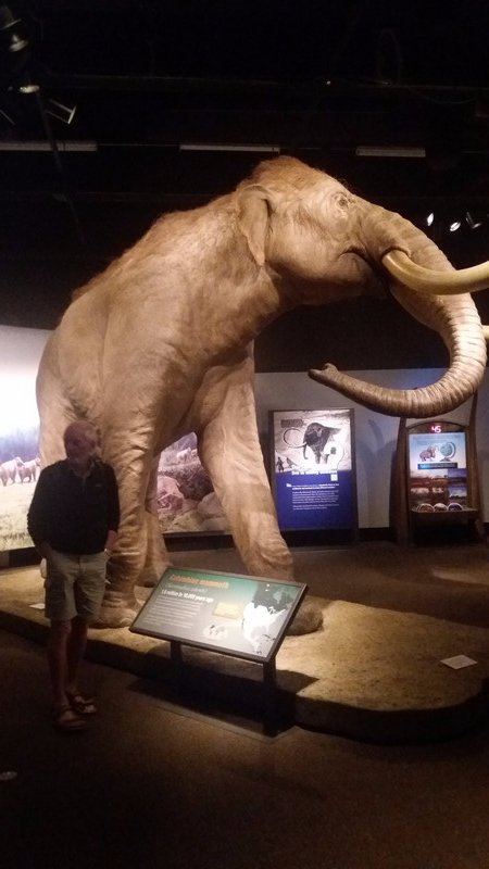 Linds giving the size of the mammoth some scale