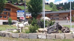 Saanen Goats at the entrance to Saanen
