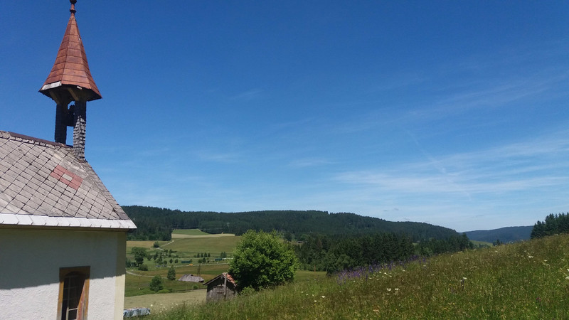 Black Forest scenery from walking trail