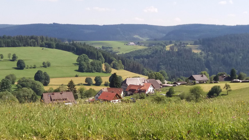 The Black Forest from Saig