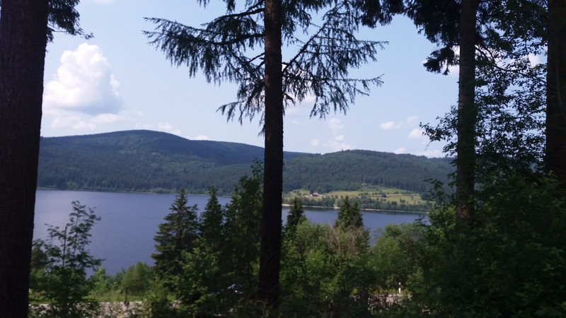 Schluchsee from the forest trail