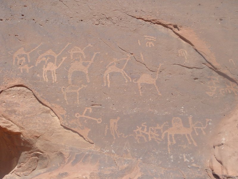 Random Camel carvings