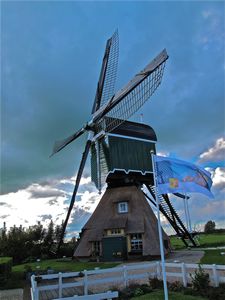 Obligatory windmill photo
