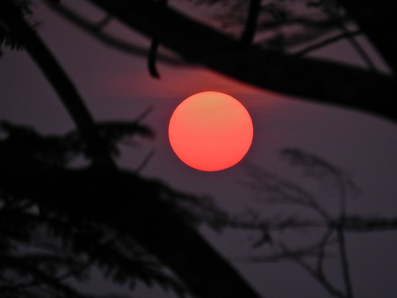 Sunset Over the Ashram