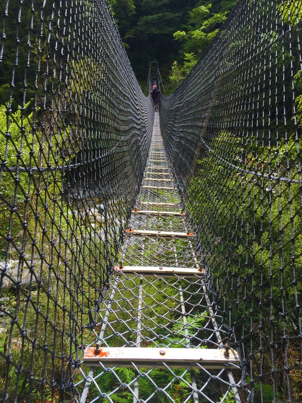 Swing bridge - Mid to Top Wairoa