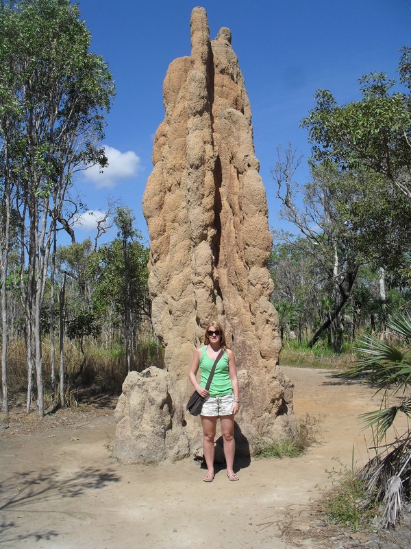 A Termite (mound in the background!)