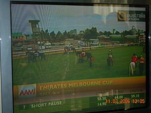 Melbourne Cup on TV