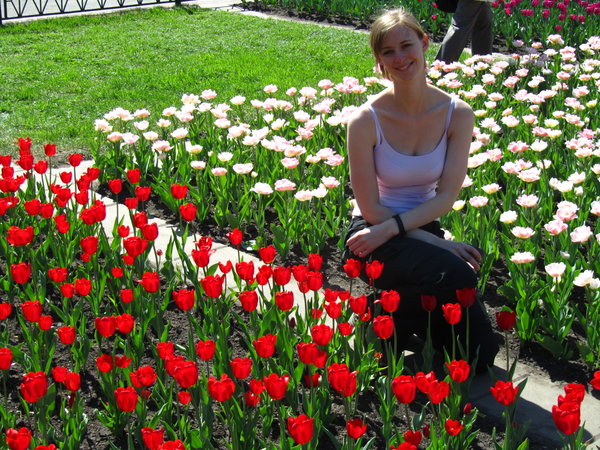 The flower beds at the Kremlin