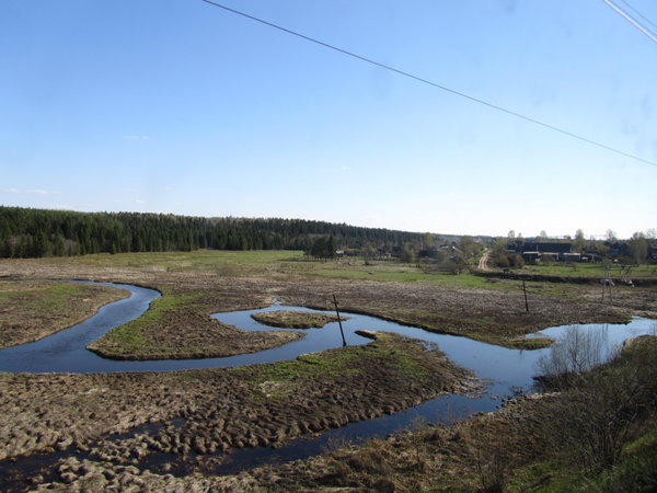 Nizhny to Tomsk: View from the train