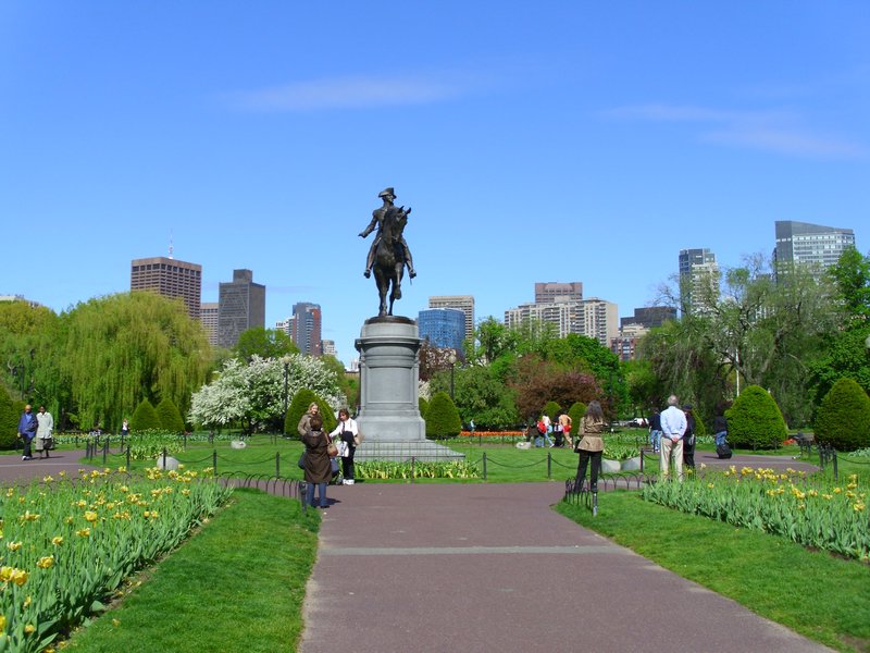The skyline of Boston in the Boston Public Garden