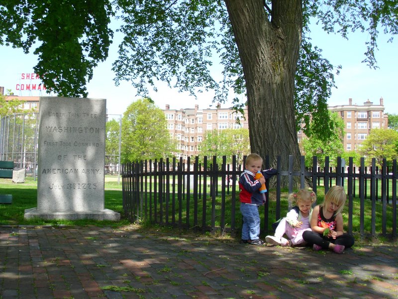 Sitting under the tree where Washington took command of the troops during the Revolutionary War.