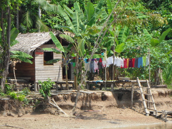 Typical Amazonian Hut