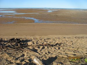 Carmila Beach nearly low tide