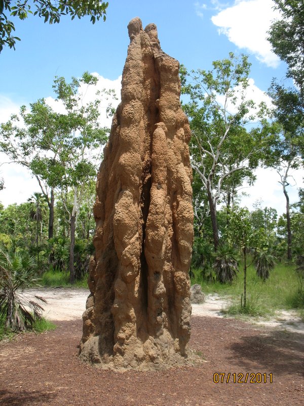 Magnetic Termite Mound.