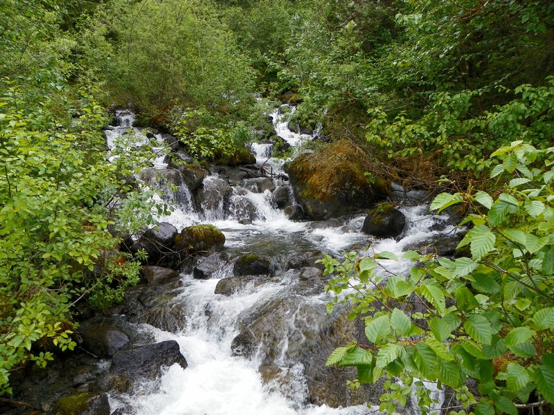 Steep Creek