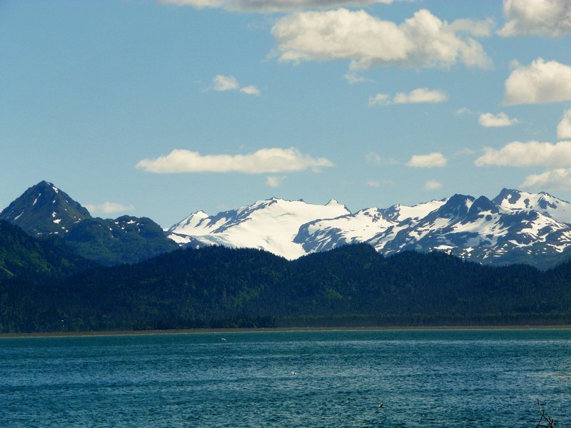 View of Kachemak Bay