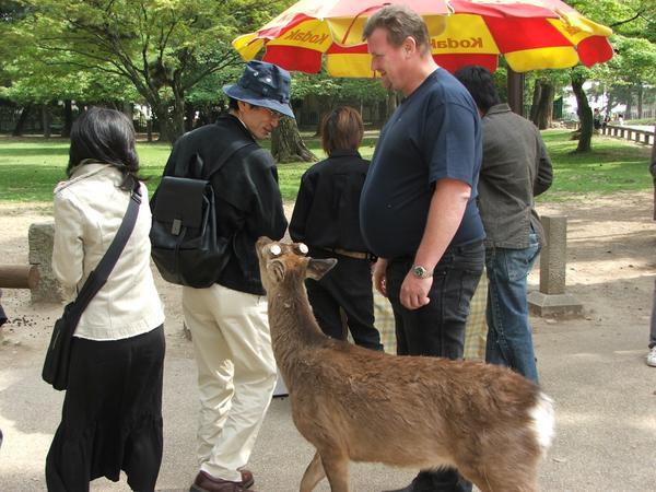 A popular park at Nara