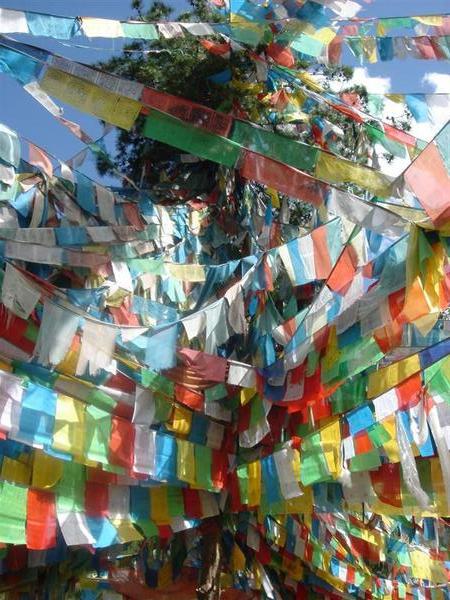 Tibetian prayer flags