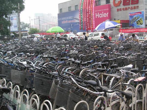 Sea of Bikes