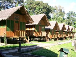 Our lodges