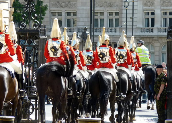 Royal Horse Guard