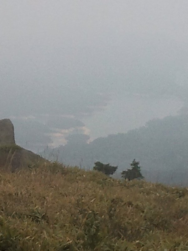 View of Shing Mun Reservoir