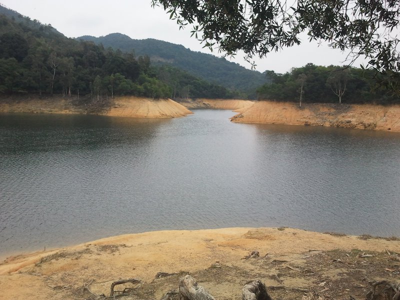 Shing Mun Reservoir