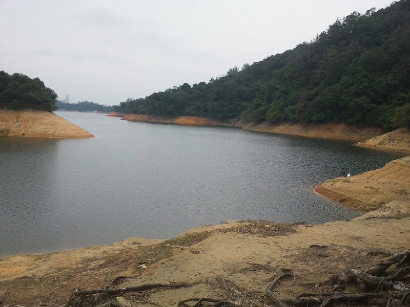 Shing Mun Reservoir 2