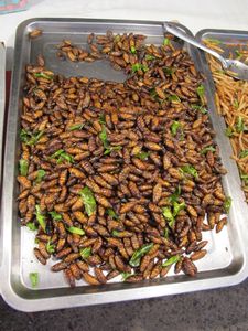 Bugs at the market