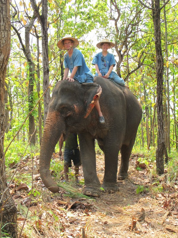Riding the elephants