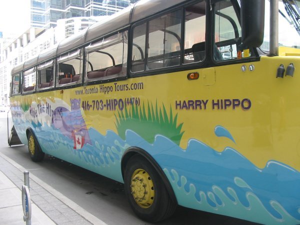 The 'Hippo' bus