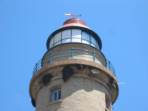 Lighthouse with huge beehives