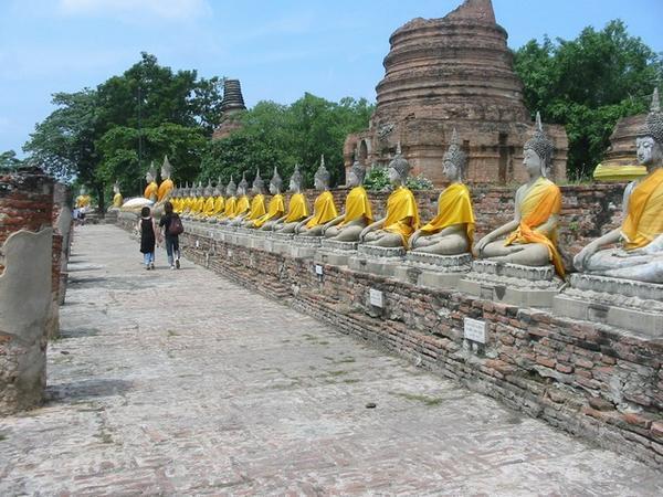 Buddha Line-up