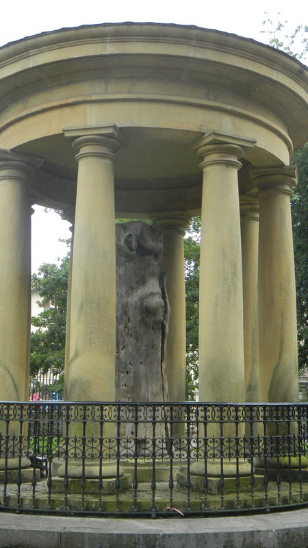 The grand Stump
