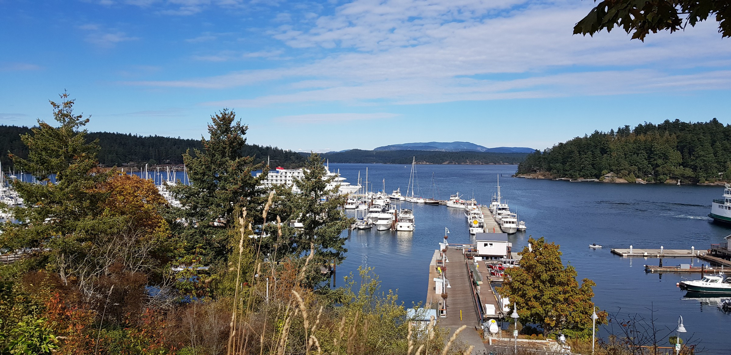 Friday Harbor | Photo