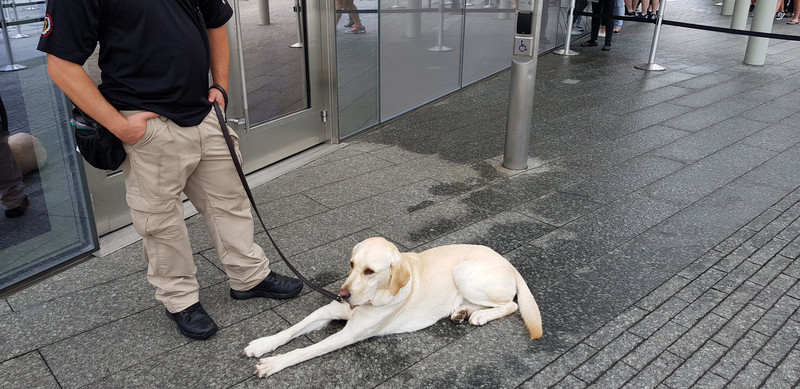 Bomb sniffer dog at 9/11 Memorial and Museum