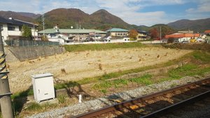 Rice harvest near Nagano