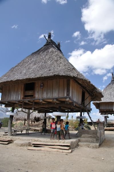 Traditional pole house