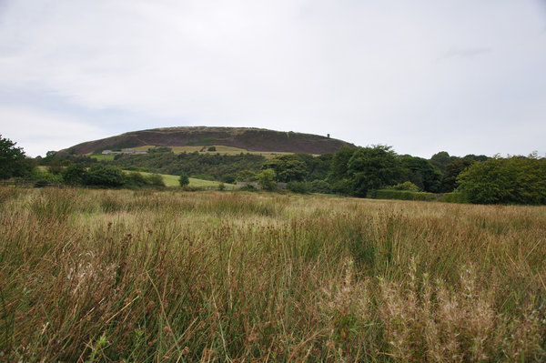 Holcombe Hill and Peel Tower