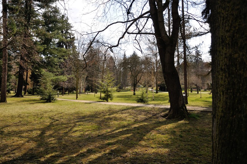 Local park in Cesky Krumlov