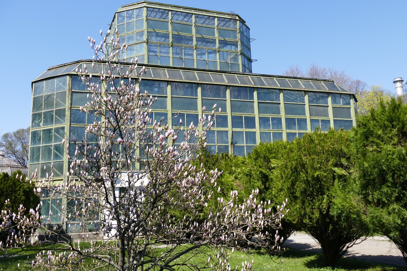 Greenhouse at Botanic Gardens