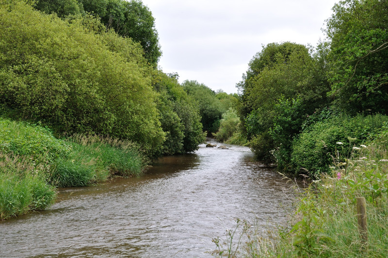 River Otter near Otterton