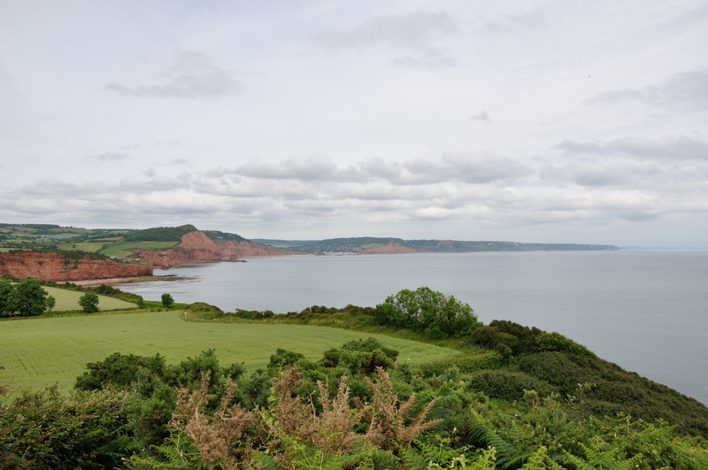 Looking toward Sidmouth from Coast Path