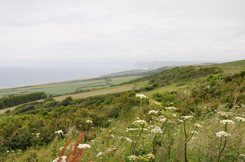 Views over Lyme Bay and western end of Chesil Beach