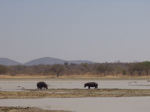 Safari to Vwaza Marsh Nature Reserve