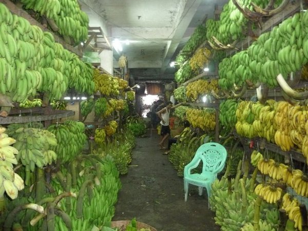 Bananen in Huelle und Fuelle